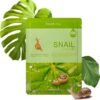 ff748c6f-f4e6-49cb-a82e-b94594a78489 Farmstay Visible Difference Mask Sheet Snail